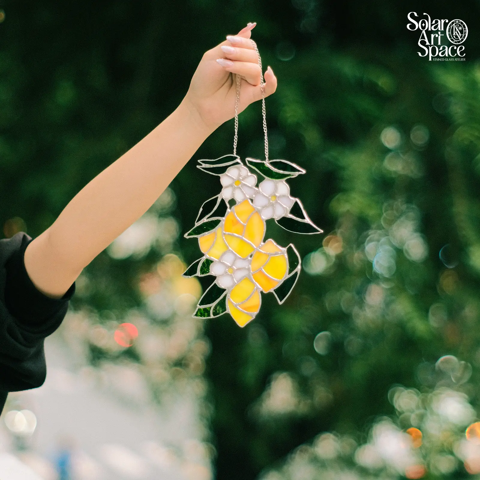 Suncatcher hình chùm chanh vàng xen hoa trắng năm cánh và lá xanh đậm, treo trên dây xích, một tay giơ cao trước tán lá